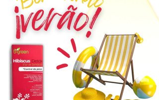 verão