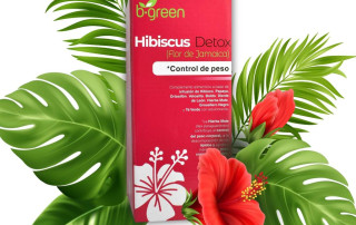 Hibiscus