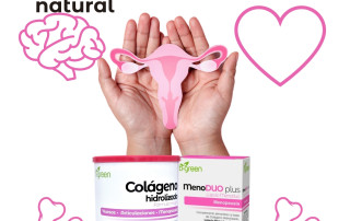 Menopausa
