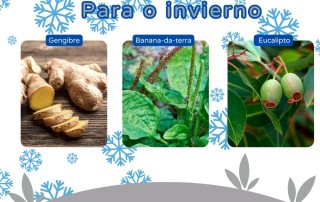 Plantas