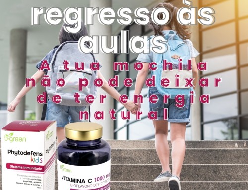 regresso às aulas e à rotina