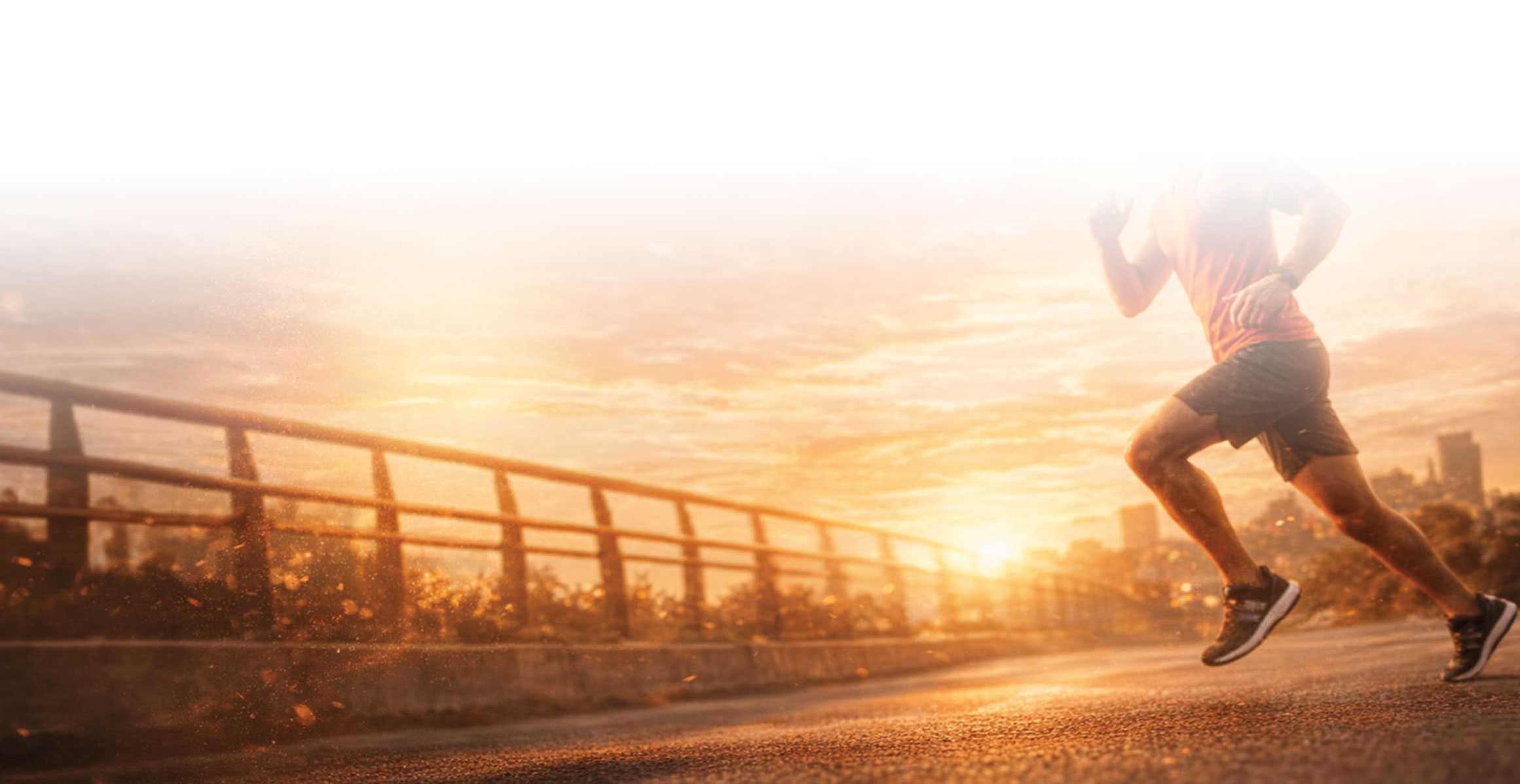 Fondo creatina monohidrato