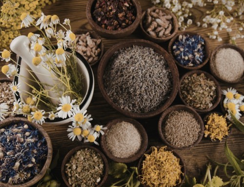 Plantas digestivas para digestão e alergias | Guia completo